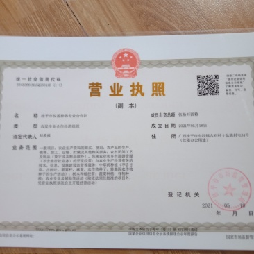 桂味荔枝