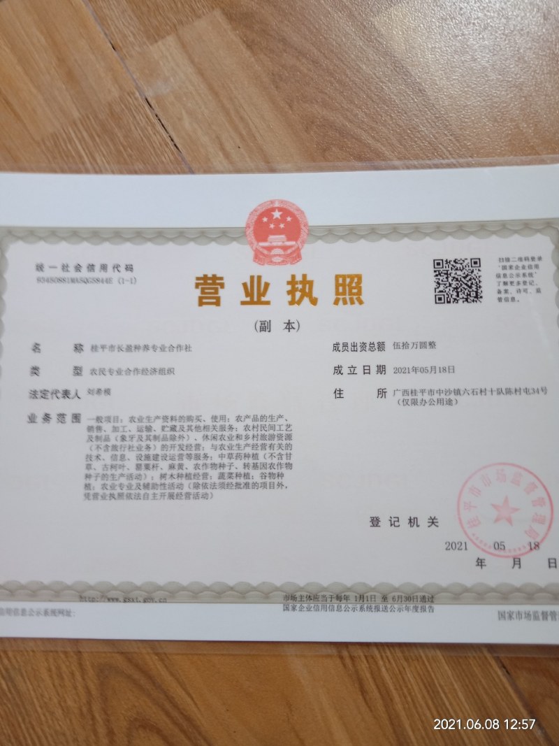 桂味荔枝