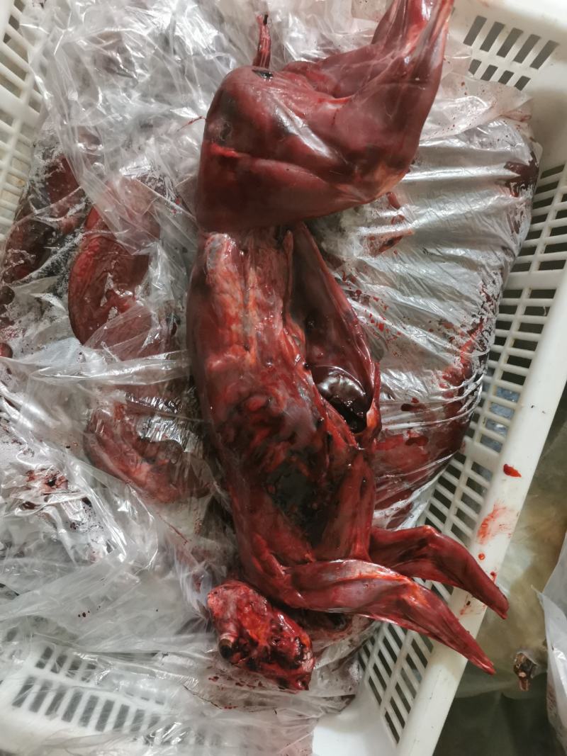 白条兔肉