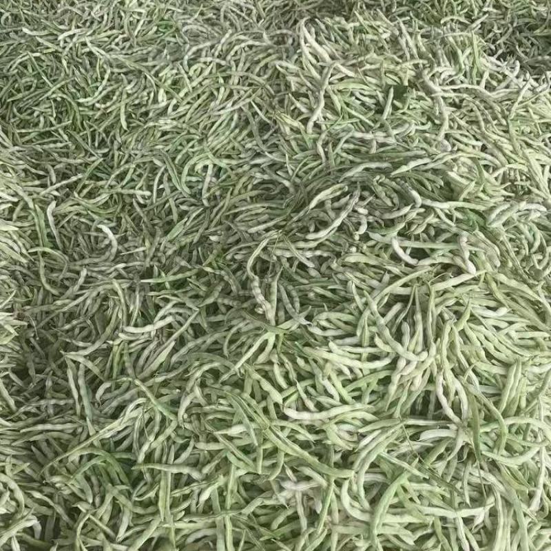 河北保定顺平白不老大量上市中