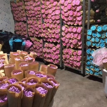 满天星鲜花干花永生花