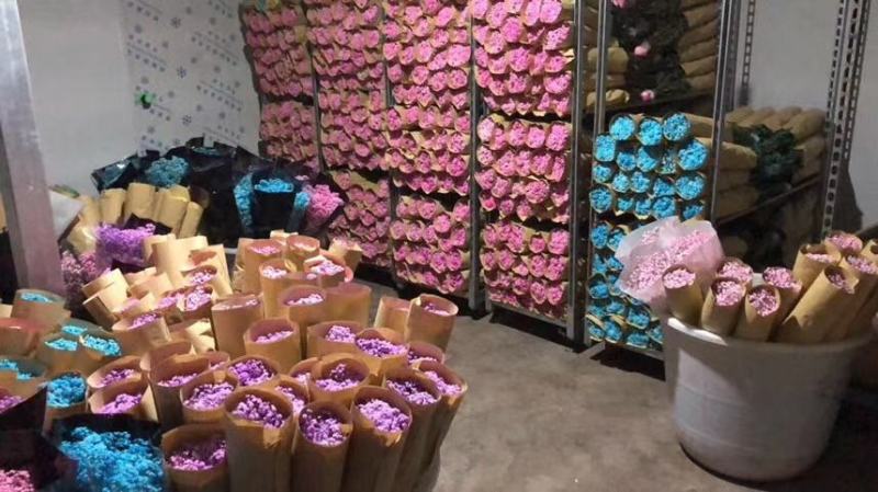 满天星鲜花干花永生花