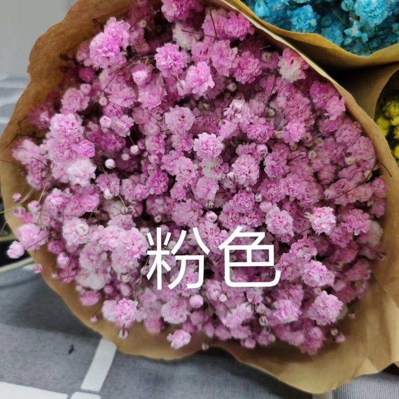 满天星鲜花干花永生花