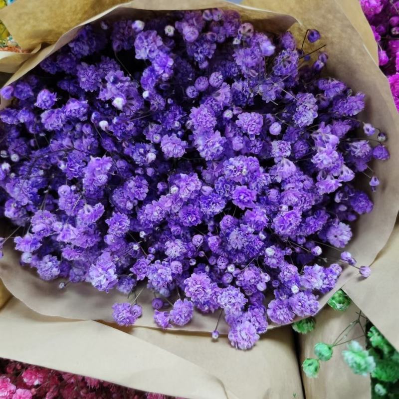 满天星鲜花干花永生花