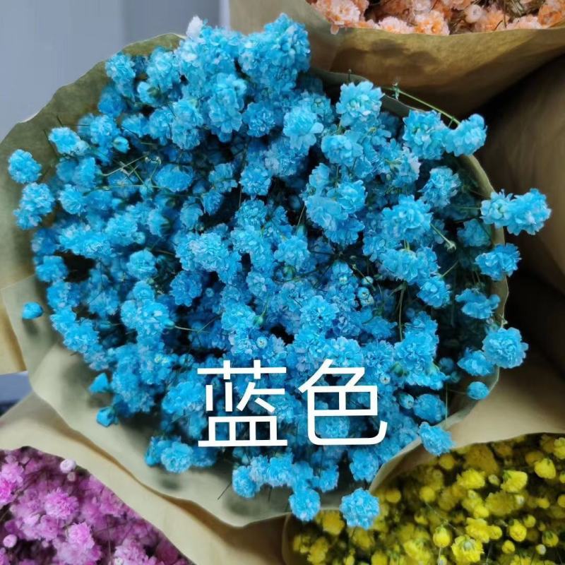 满天星鲜花干花永生花