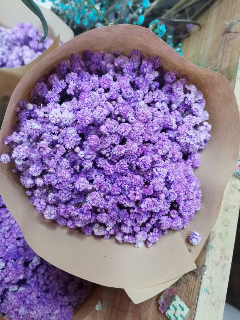 满天星鲜花干花永生花