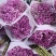 满天星鲜花干花永生花