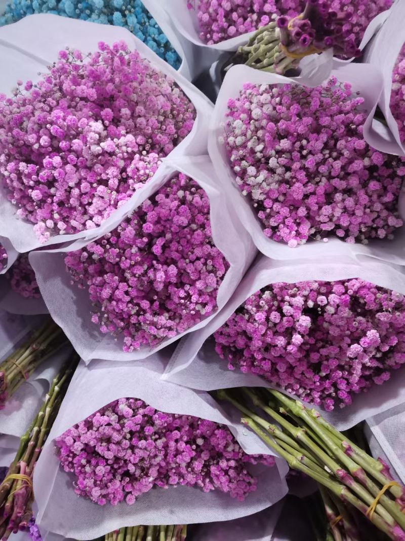 满天星鲜花干花永生花
