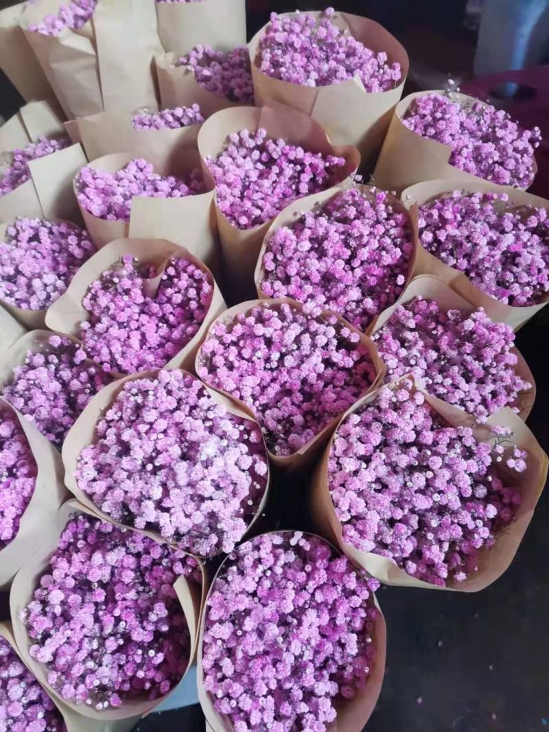 满天星鲜花干花永生花