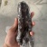 大乌参海参即食海参400g整只装电商微商社区团购