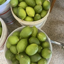 广东无籽香水柠檬