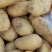 土豆大量有货！品质好，价格优！欢迎新老朋友联系！