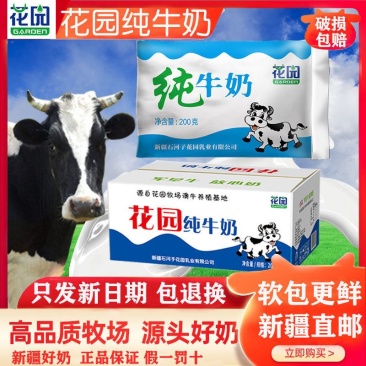 【爆款】新疆花园纯牛奶百利包（软袋）全国多仓发货