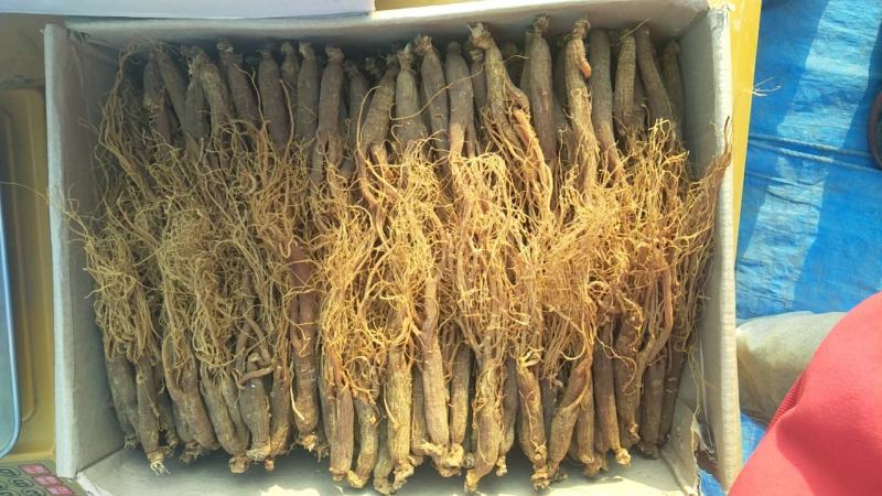 红参全须无糖足干，吉林长白山自产自发，包邮