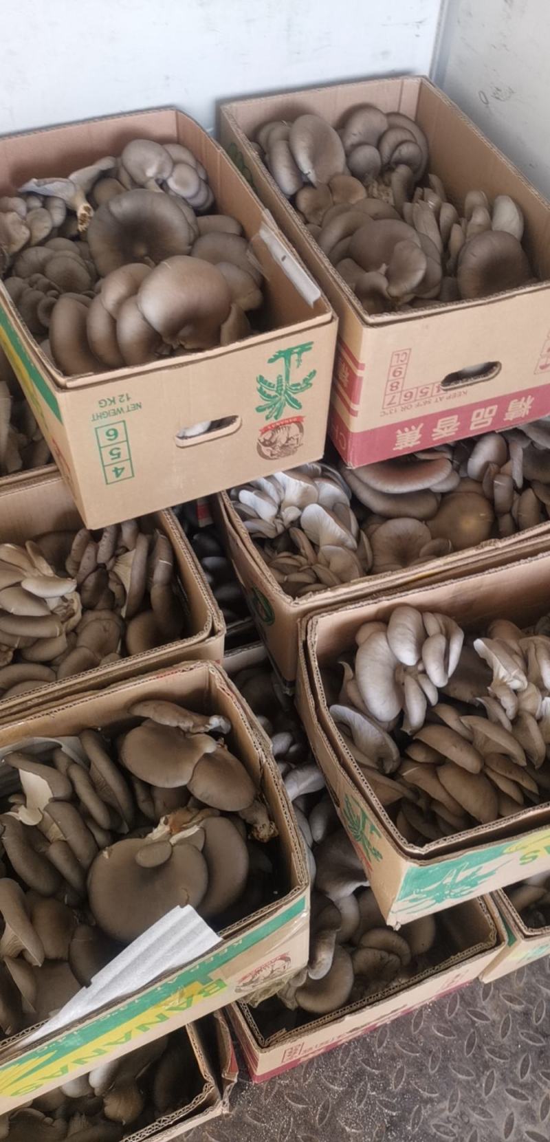 货源充足，质量好