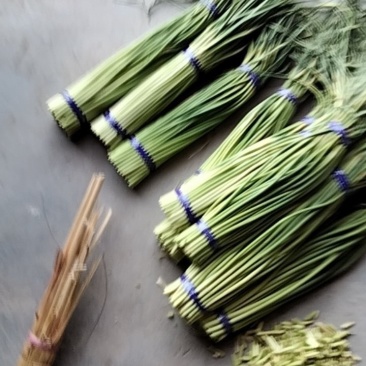新鲜蒜台大量现货，皮蒜苔大量现货正在热卖中