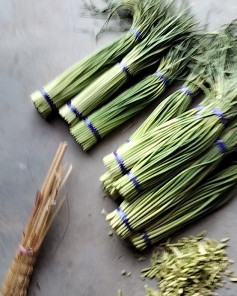 新鲜蒜台大量现货，皮蒜苔大量现货正在热卖中