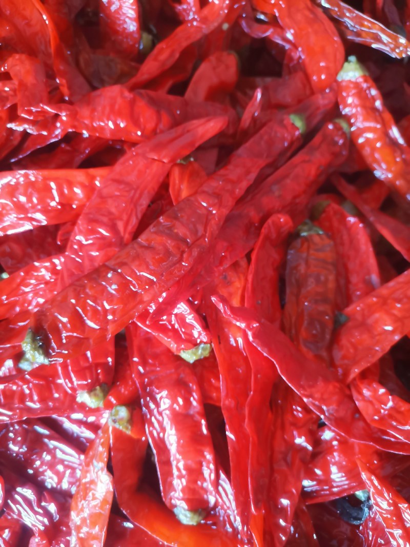 二荆条，红咸椒，辣椒咸辣椒，半成品，酱菜原料