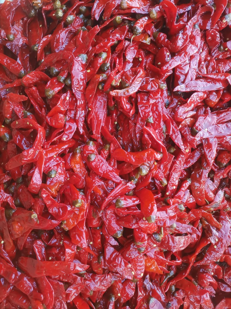 二荆条，红咸椒，辣椒咸辣椒，半成品，酱菜原料