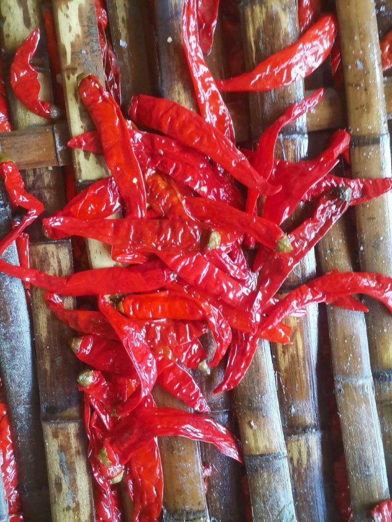二荆条，红咸椒，辣椒咸辣椒，半成品，酱菜原料