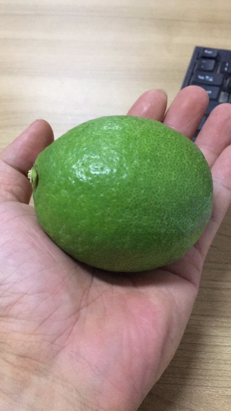 3千亩尤力克青柠檬基地直供