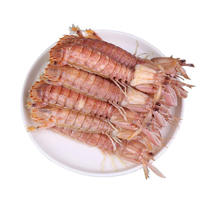 【包邮-5斤皮皮虾】热销5斤超肥超大鲜活虾皮皮虾