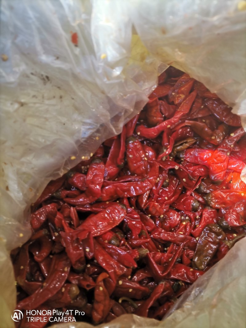 厂家直销，辣椒，咸红辣椒，泡二荆条，酱菜的好调料