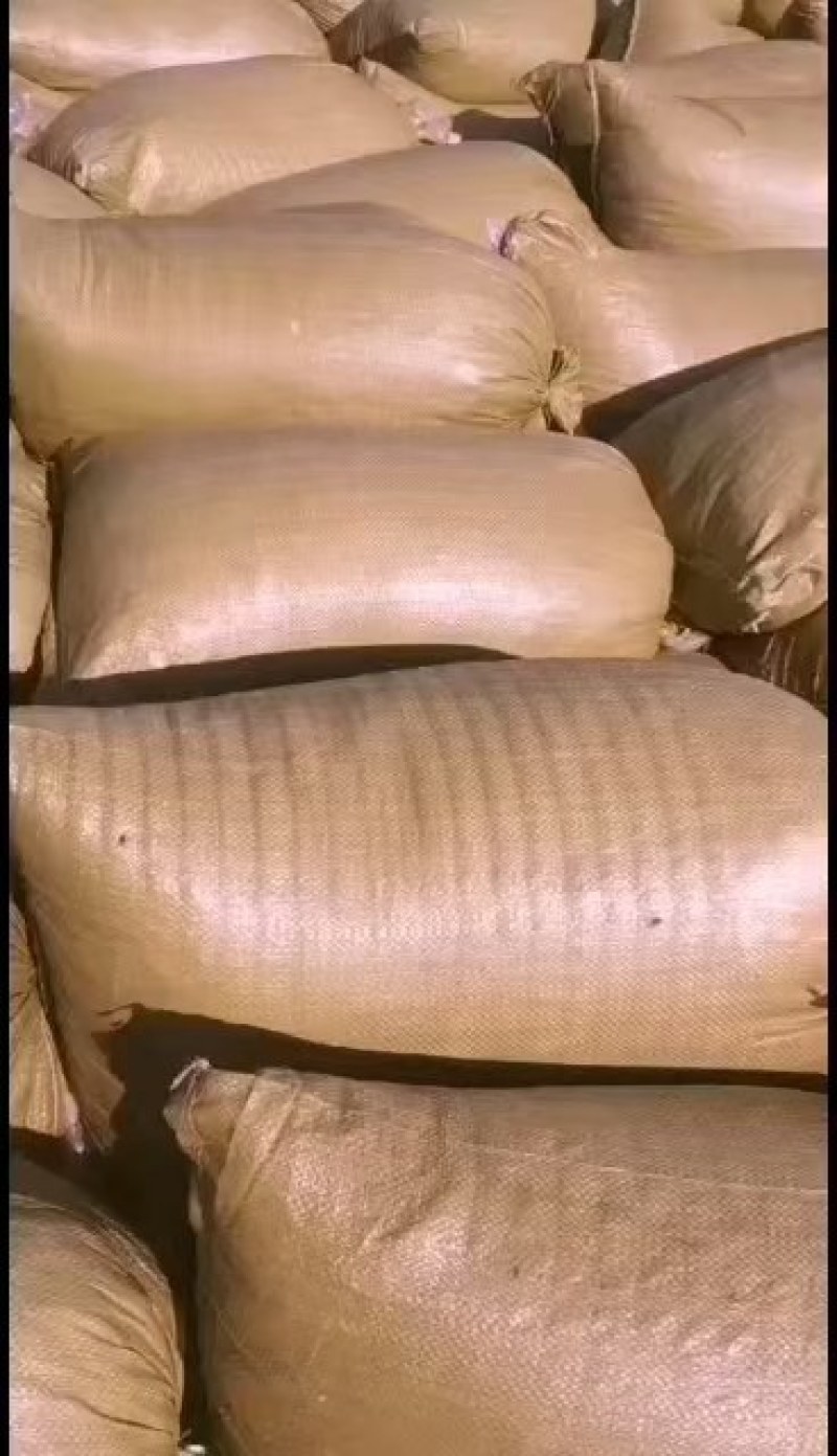 津红2：品种辣椒，第一遍辣椒，肉厚籽少，酱香浓