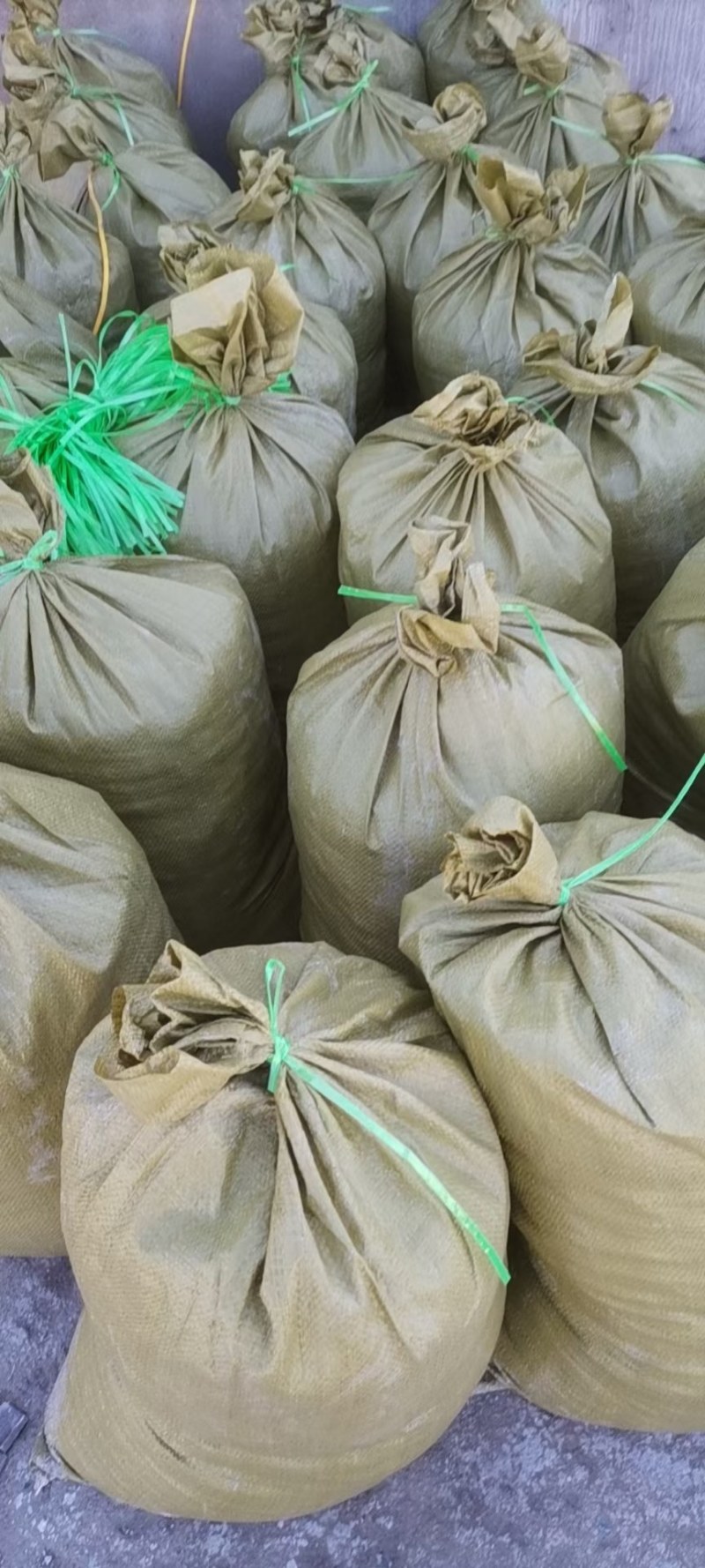 津红2：品种辣椒，第一遍辣椒，肉厚籽少，酱香浓