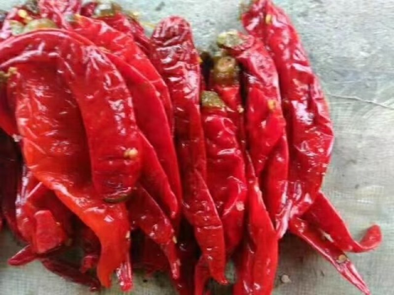 津红2：品种辣椒，第一遍辣椒，肉厚籽少，酱香浓
