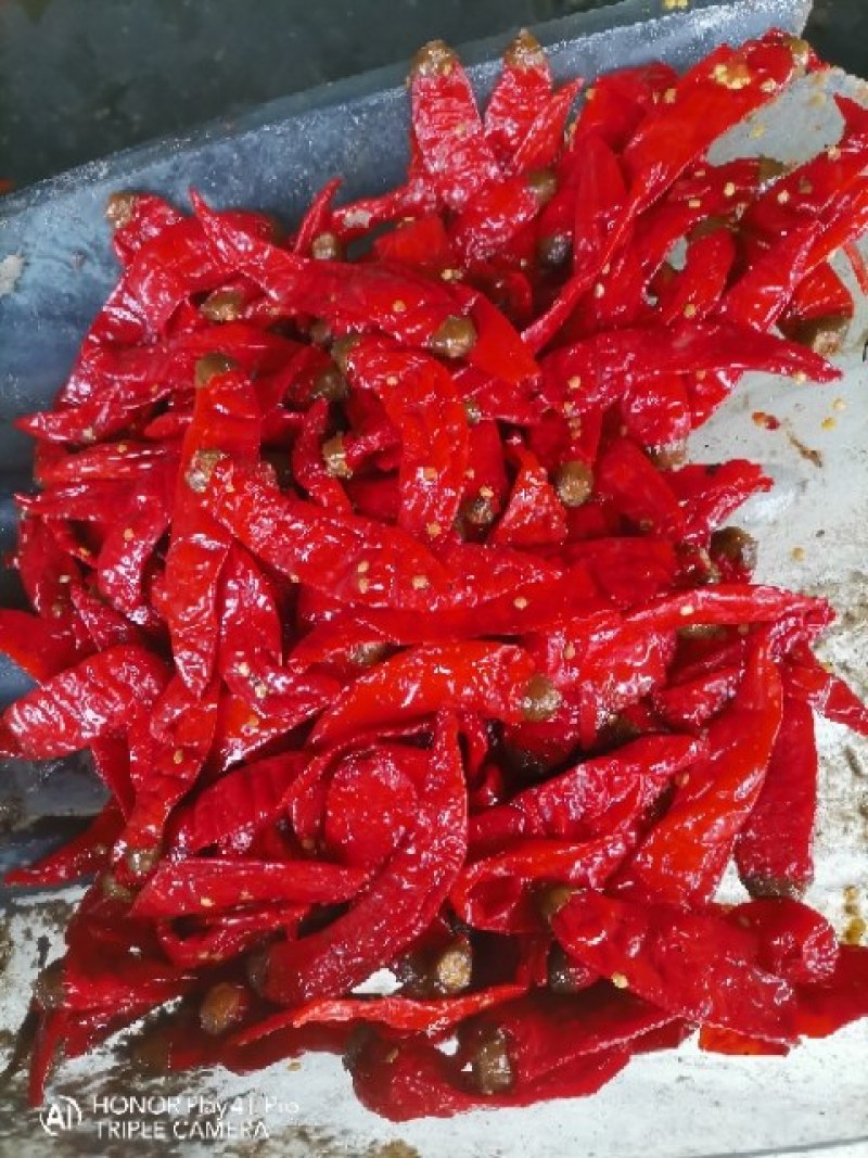 津红2：品种辣椒，第一遍辣椒，肉厚籽少，酱香浓