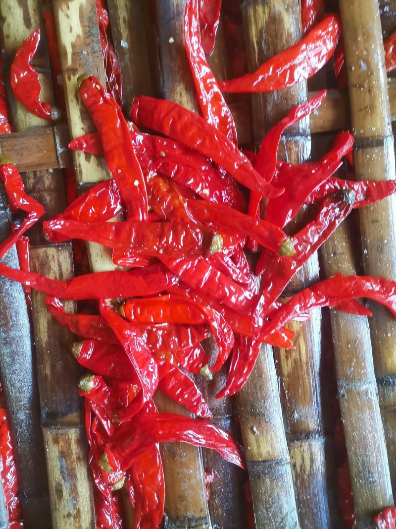 津红2：品种辣椒，第一遍辣椒，肉厚籽少，酱香浓