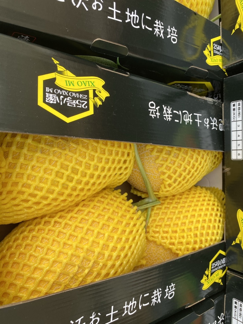 精品天子骄子