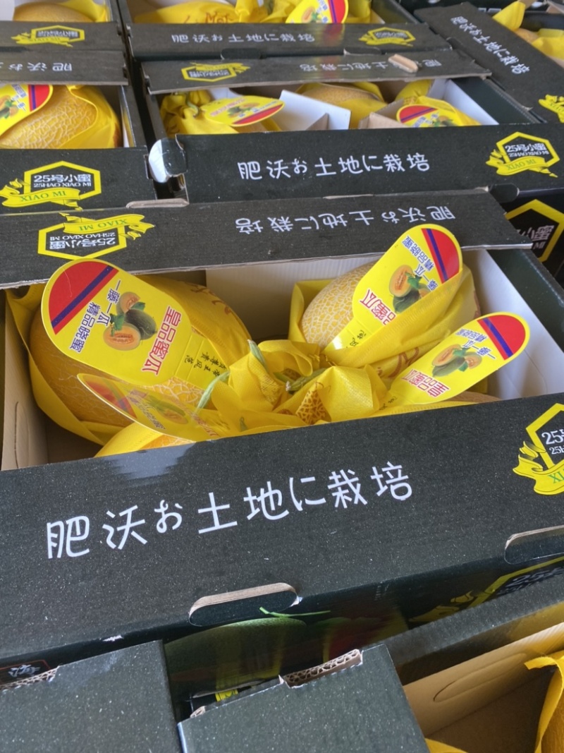 精品天子骄子