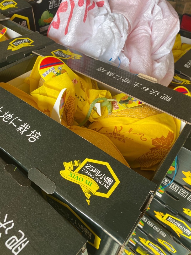 精品天子骄子