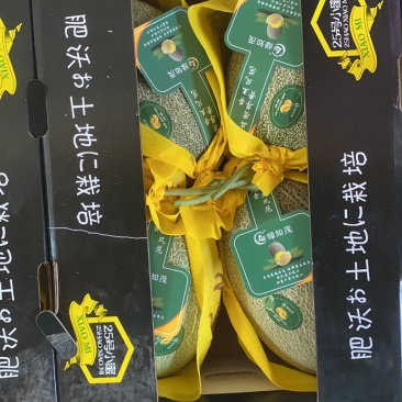 精品天子骄子