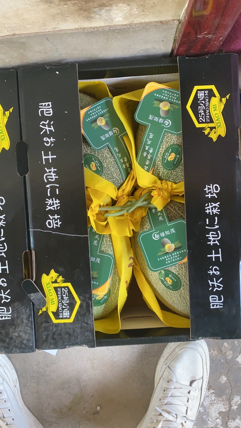精品天子骄子