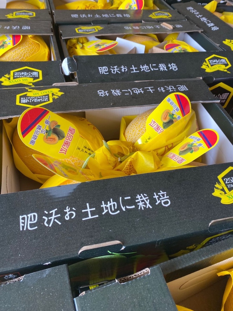 精品天子骄子
