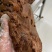 酱香牛肉，出锅空调屋晾好打包，发全国，冷链运输