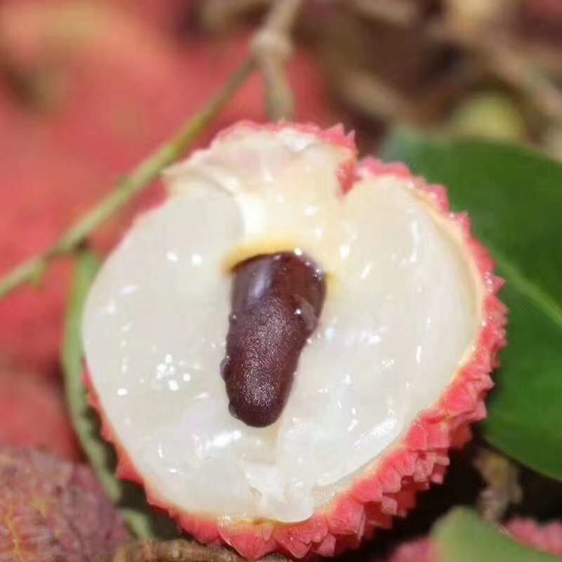 荔枝妃子笑荔枝黑叶荔枝精品广西灵山荔枝超甜品种