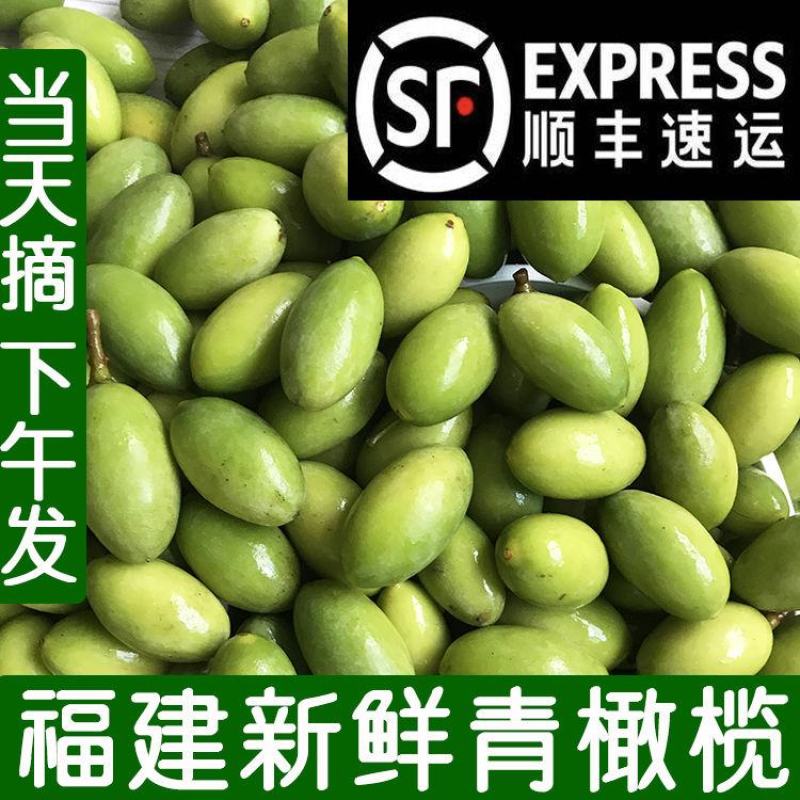 【一件代发】新鲜橄榄果青橄榄生青果水果闽清檀香榄福建特产