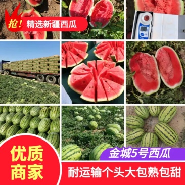🔥黑美人黑无籽产地诚信直供价格优惠包熟包甜