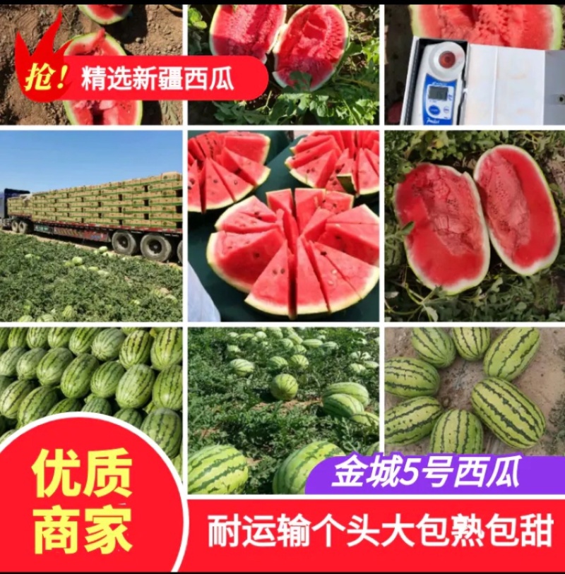🔥黑美人黑无籽产地诚信直供价格优惠包熟包甜