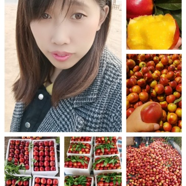 露天油桃中油四，中油五号。曙光，126供应电商商超加工厂