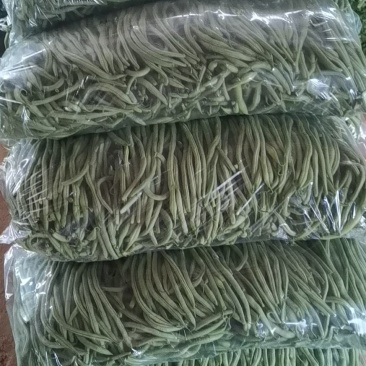 精品豆角