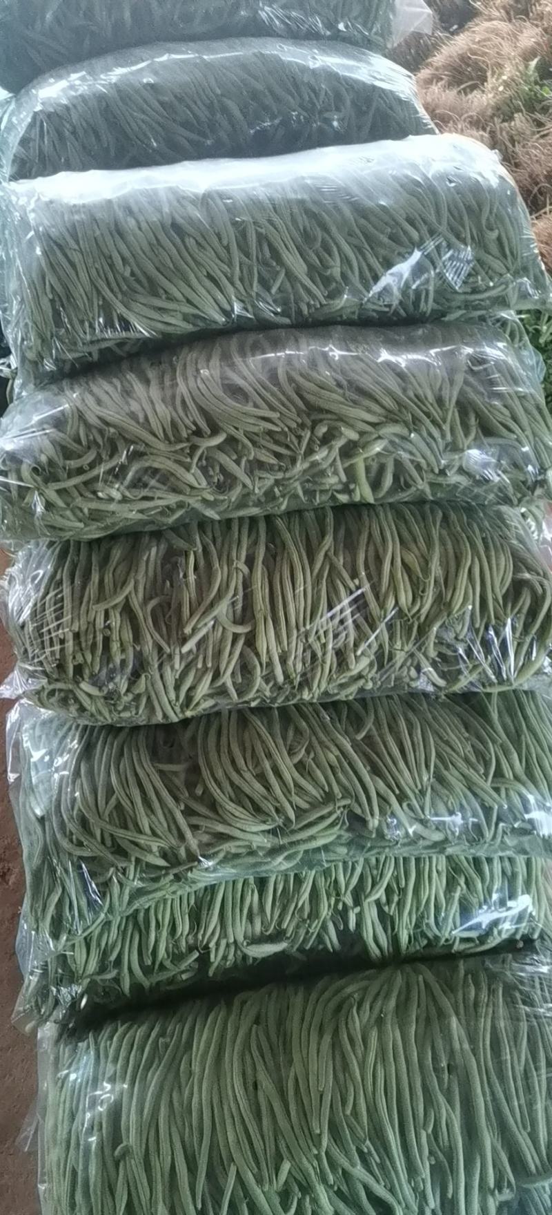 精品豆角