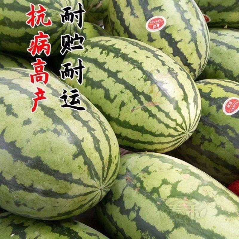 湖北万亩金城5号西瓜硒砂瓜大红瓤糖度高批发