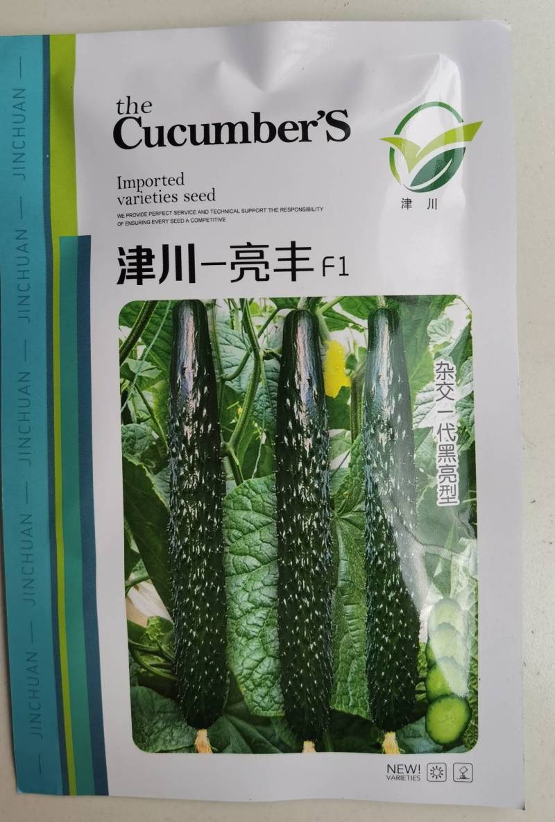 津川亮丰黄瓜种子露地越夏抗热耐高温38度油亮绿芯强磁
