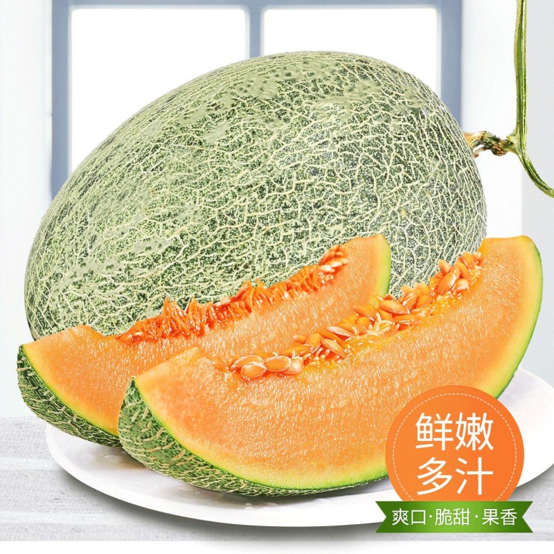 爆甜新疆哈密瓜脆甜当季现摘水果新鲜香瓜网纹蜜瓜甜瓜斤整箱