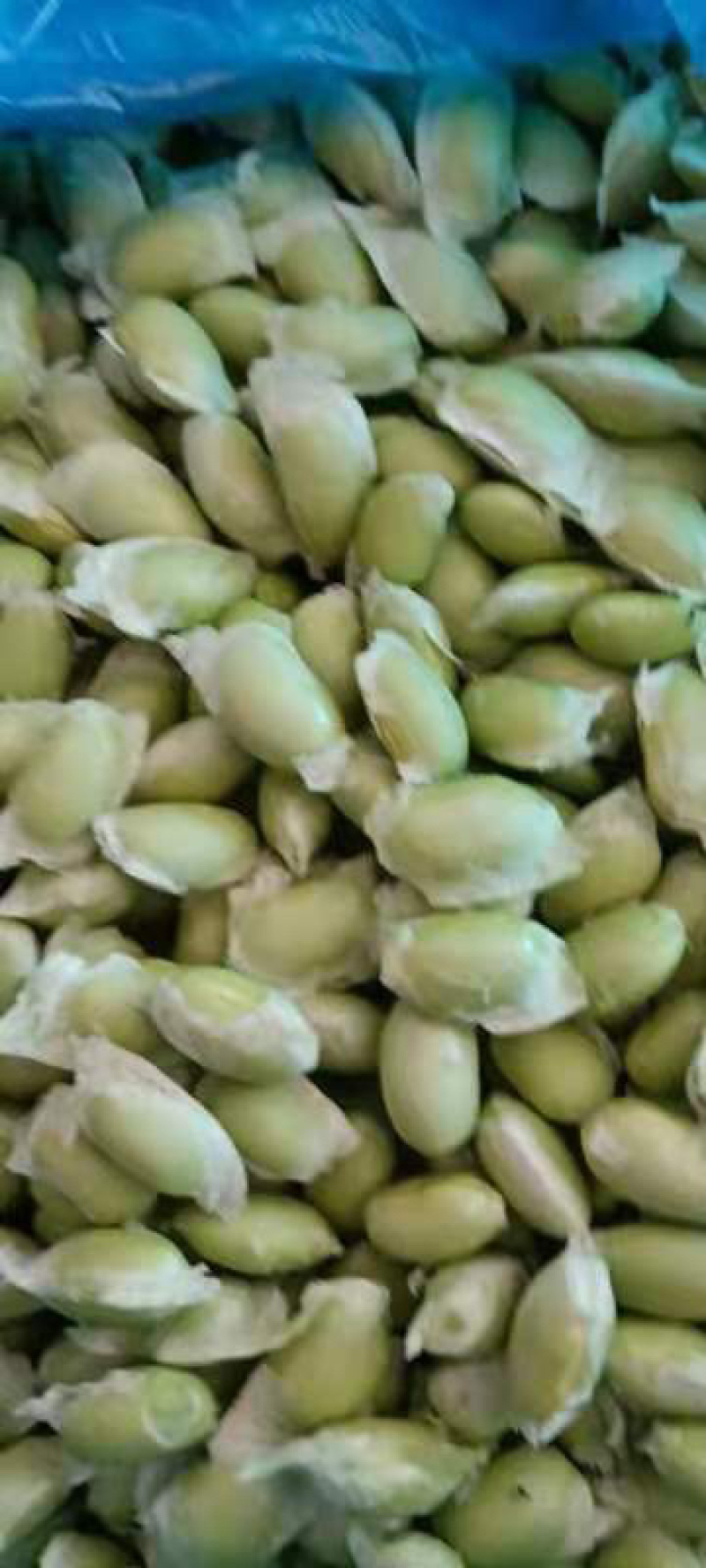精品新鲜毛豆纯手工毛豆米供应超市货颗粒饱满